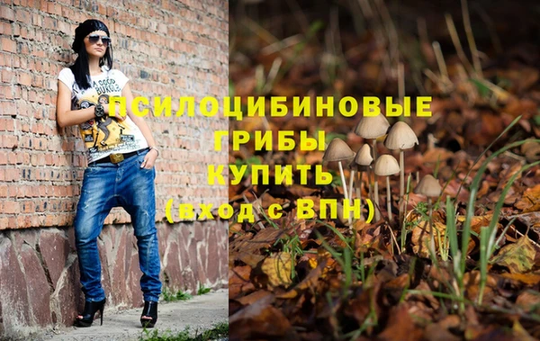 прущая мука Щучье