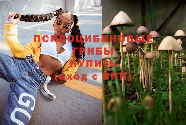 скорость Бородино