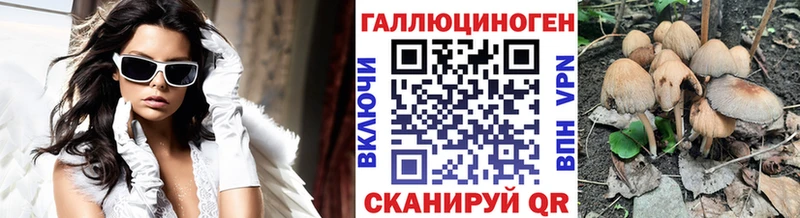 как найти   Гагарин  Псилоцибиновые грибы мицелий 